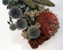 Tapeta Nature Flowers 580.jpg